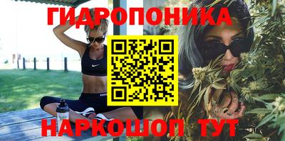 скорость Новодвинск