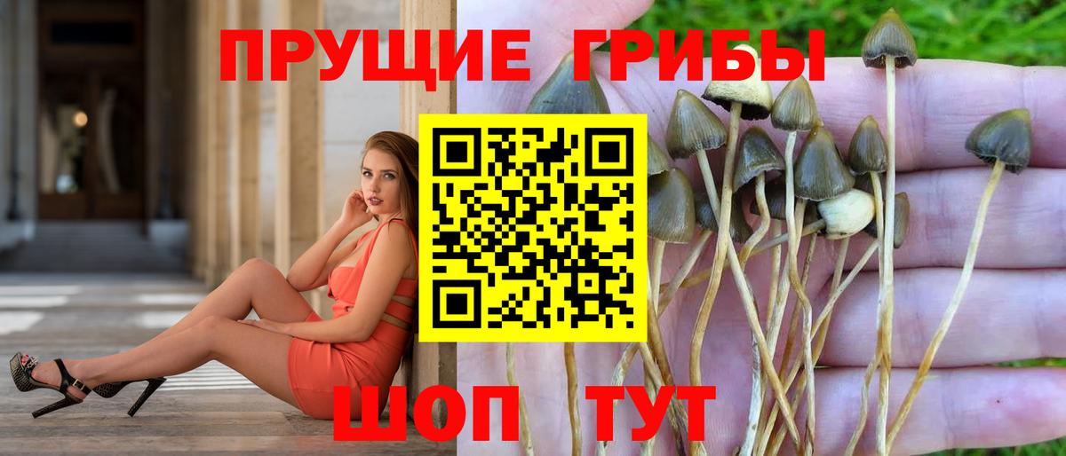 Усинск  Галлюциногенные грибы мухоморы  Вход с VPN 